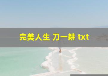 完美人生 刀一耕 txt